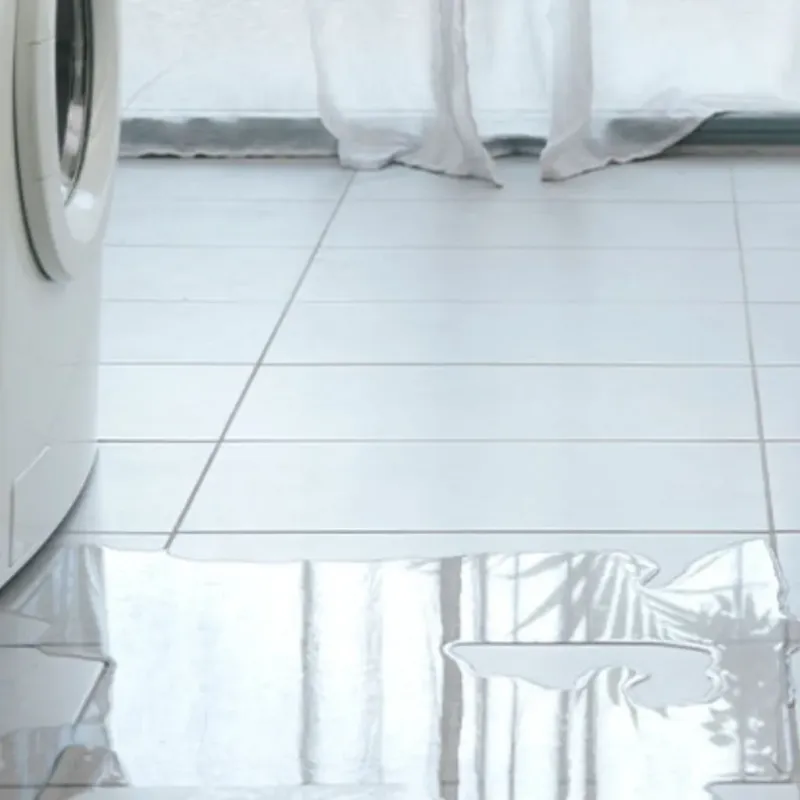 Appliance Leak Cleanup in Woodsville, NH