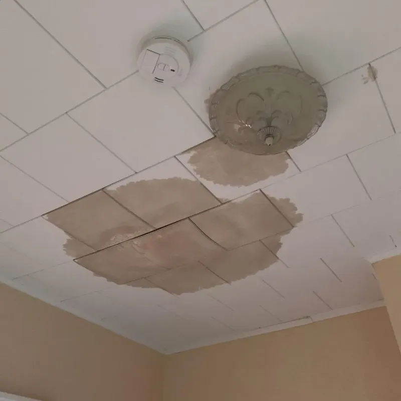 Ceiling Water Damage Repair in Woodsville, NH