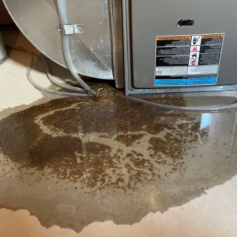 Pipe Burst and Leak Restoration in Woodsville, NH